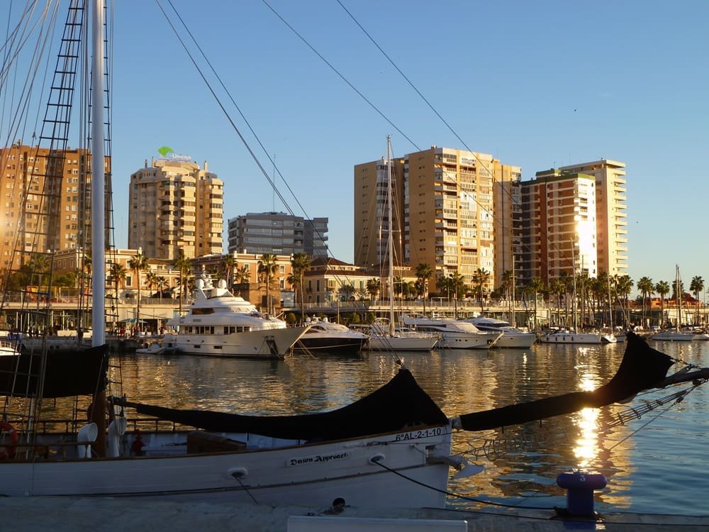 Málaga port with yachts and palm trees