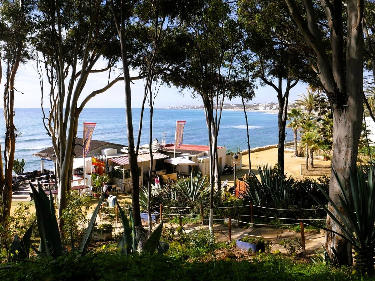 Sunbeds and golden sand at a Marbella beach club